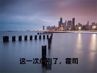 苏稚南霍司宸（这一次永别了，霍司宸）完整版小说阅读_这一次永别了，霍司宸全文免费阅读笔趣阁（苏稚南霍司宸）