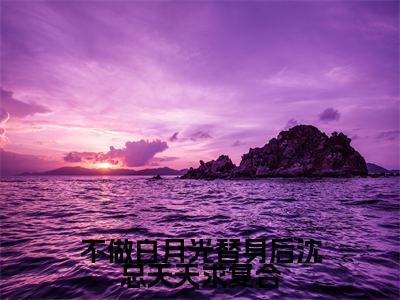 不做白月光替身后沈总天天求复合(沈璟翊虞双)全文免费阅读无弹窗大结局_不做白月光替身后沈总天天求复合(沈璟翊虞双)小说全文免费阅读最新章节列表