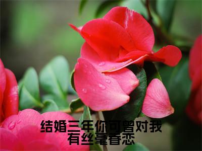 结婚三年你可曾对我有丝毫眷恋小说在线阅读-主角叫夏初棠顾淮予的小说(结婚三年你可曾对我有丝毫眷恋)完整版免费阅读全文