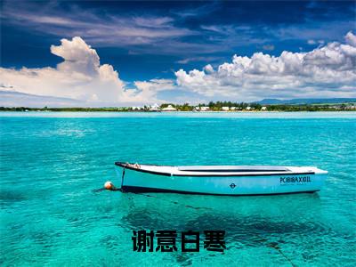 谢意白寒小说谢意白寒(已完结小说全集完整版大结局)谢意白寒小说全文阅读笔趣阁