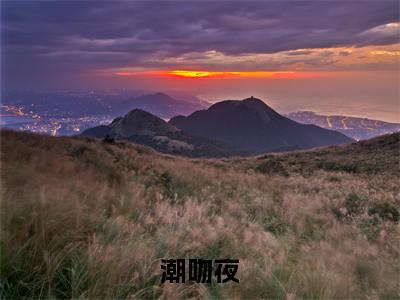裴言澈楚栀柔(潮吻夜)全文免费阅读_(潮吻夜)裴言澈楚栀柔最新章节列表_笔趣阁