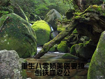 重生八零娇美医妻撩倒铁血老公(陆霆燚乔念夏)全文免费阅读无弹窗大结局_陆霆燚乔念夏小说最新章节列表