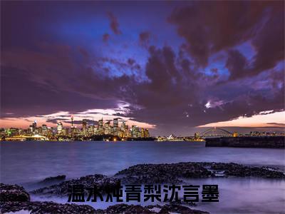 温水炖青梨沈言墨（童梨沈言墨）全本完整版免费阅读_(温水炖青梨沈言墨)童梨沈言墨全文章节目录_笔趣阁