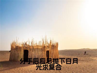 司沐颜应司寒的小说免费阅读(分手后应总抛下白月光求复合的小说免费阅读)全文完整版免费阅读-分手后应总抛下白月光求复合好书推荐
