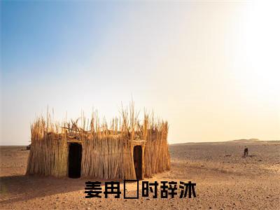 【新书】《姜冉晞时辞沐》全文免费阅读无弹窗大结局-姜冉晞时辞沐全文全章节免费阅读