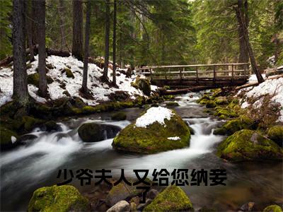 苏月璃方长明高赞小说（少爷夫人又给您纳妾了）完结阅读_少爷夫人又给您纳妾了免费看全文