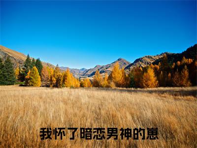 江知念时晔(我怀了暗恋男神的崽)全文免费阅读无弹窗_我怀了暗恋男神的崽最新小说_笔趣阁(江知念时晔)