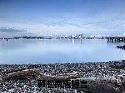 唐婉言戴松南小说(戴松南唐婉言)全文免费阅读无弹窗大结局_唐婉言戴松南(戴松南唐婉言)最新章节列表