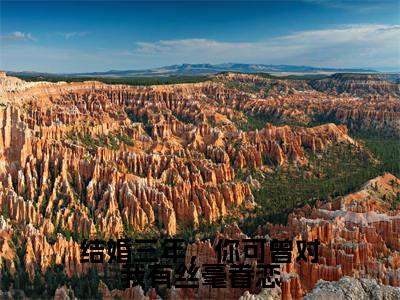 结婚三年,你可曾对我有丝毫眷恋(夏初棠顾淮予)全文免费阅读无弹窗大结局-结婚三年,你可曾对我有丝毫眷恋最新章节列表免费阅读