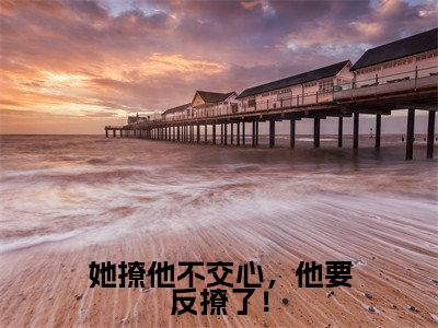 小说《她撩他不交心，他要反撩了！》全文免费阅读无弹窗-江梨薄聿小说全文在线赏析_笔趣阁