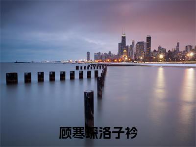 顾寒琛洛子衿小说全文免费阅读-(洛子衿顾寒琛)顾寒琛洛子衿精选小说大结局阅读
