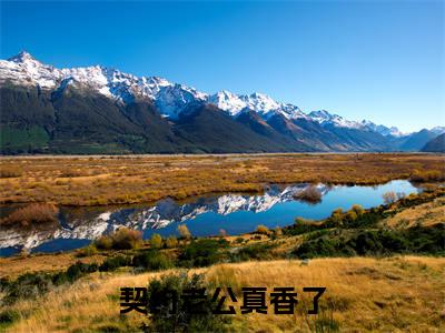 （契约老公真香了）全文免费阅读-契约老公真香了（顾眠霍冷）最新章节列表阅读