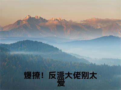 爆撩！反派大佬别太爱全文小说（ 林妤笙陆峥野）全文阅读-爆撩！反派大佬别太爱在线小说免费阅读