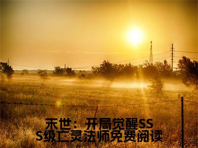 主角是 陈默李成峰的小说叫什么名字 末世：开局觉醒SSS级亡灵法师精彩结局阅读