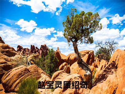赵宝灵康绍奇小说免费阅读 赵宝灵康绍奇小说在哪里可以看