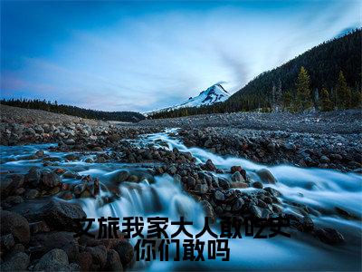 苏晨(文旅我家大人敢吃史你们敢吗)全文免费阅读无弹窗_(苏晨全文免费阅读无弹窗)苏晨最新章节列表