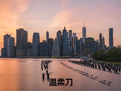 温柔刀小说无弹窗（ 洛鸢陆允晗）全文免费阅读无弹窗大结局_ 洛鸢陆允晗最新章节列表_笔趣阁