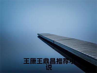  王康王鼎昌（完整版）热文小说阅读- 王康王鼎昌全文抖音热推