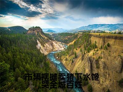 市集摆摊卖猪下水馋哭全城百姓全文免费阅读大结局-（闻真一沈寒星）最新章节列表在线阅读