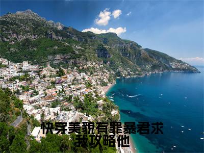 (快穿美貌有罪暴君求我攻略他)全文免费阅读-快穿美貌有罪暴君求我攻略他(芷月)最新章节列表阅读