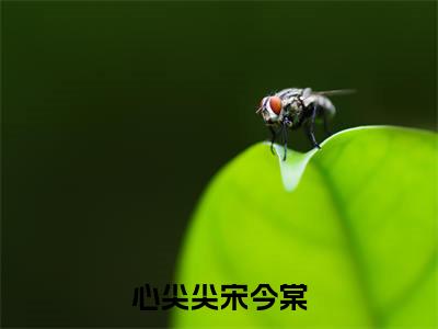 沈于渊宋今棠心尖尖宋今棠最新章节小说推荐阅读-新书心尖尖宋今棠大结局