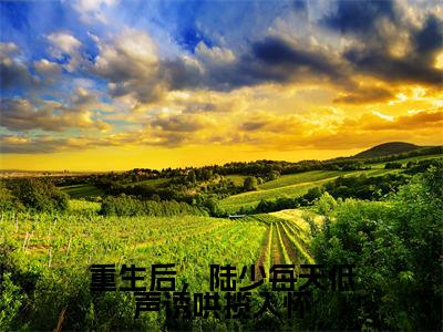 重生后,陆少每天低声诱哄揽入怀(陆怀屿虞萌)全文免费阅读无弹窗_重生后,陆少每天低声诱哄揽入怀最新小说_笔趣阁(陆怀屿虞萌)