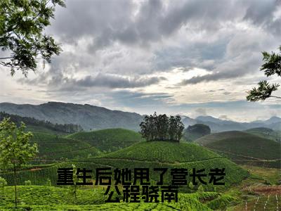 谢望舒程骁南在线阅读(重生后她甩了营长老公程骁南)全文免费阅读_重生后她甩了营长老公程骁南最新章节列表_笔趣阁