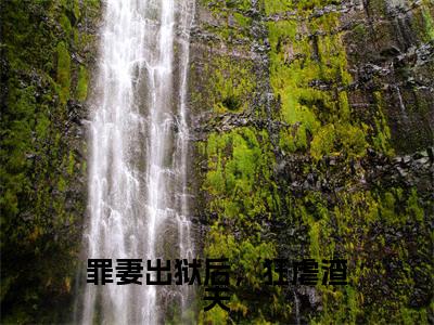 罪妻出狱后，狂虐渣夫（苏玉妍戴小宇）免费阅读-小说（罪妻出狱后，狂虐渣夫）苏玉妍戴小宇全文阅读
