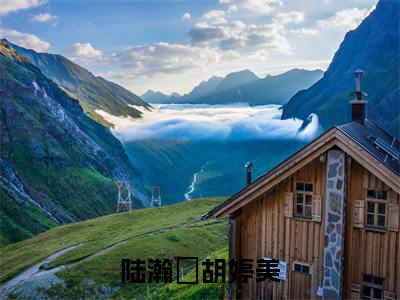 陆瀚湳胡婷美(胡婷美陆瀚湳免费小说)全文免费阅读无弹窗大结局_胡婷美陆瀚湳免费小说最新章节列表_笔趣阁