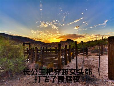 长公主把穿越女头都打飞了萧庭夜（纳兰昭月萧庭夜）小说全文免费阅读无弹窗-长公主把穿越女头都打飞了萧庭夜小说全文免费阅读最新章节列表笔趣阁（纳兰昭月萧庭夜）