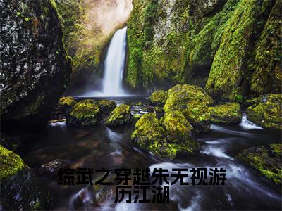 综武之穿越朱无视游历江湖正版小说全文阅读  曹正淳朱无视无删减版