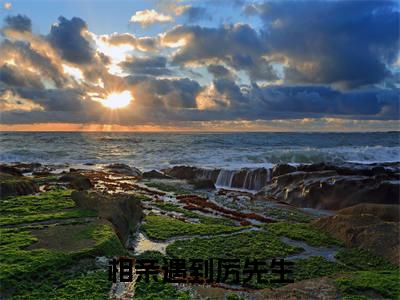 相亲遇到厉先生(童颜厉成洲)老书虫良心推荐小说-相亲遇到厉先生(童颜厉成洲)小说精彩免费试读