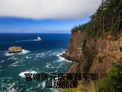 官嫂张元庆秦林宇新篇版阅读全本小说无弹窗阅读-官嫂张元庆秦林宇新篇版阅读（ 张元庆秦林宇）精彩热门小说