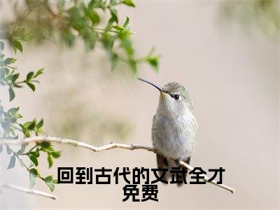  泡沫泡沫（回到古代的文武全才）全文免费阅读无弹窗大结局_（回到古代的文武全才无弹窗）全文完整版免费阅读