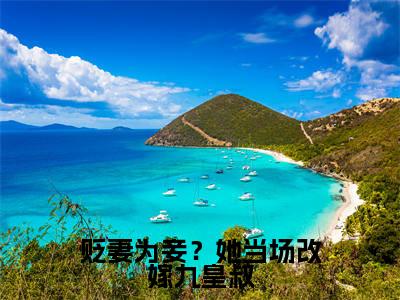 榜单小说贬妻为妾?她当场改嫁九皇叔全文免费阅读无弹窗大结局-林云汐楚宴晔全文在线阅读