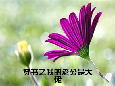 穿书之我的老公是大佬（喻灵微江礼安）全文免费阅读无弹窗大结局_穿书之我的老公是大佬小说（喻灵微江礼安）最新章节列表