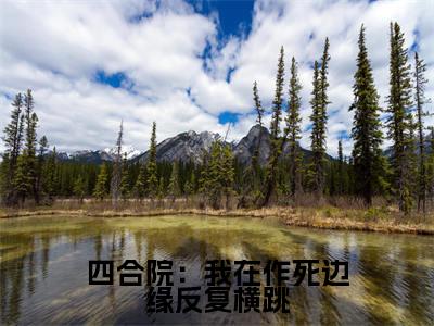 陈天明（四合院：我在作死边缘反复横跳）全文免费阅读无弹窗-四合院：我在作死边缘反复横跳完整版全文在线赏析