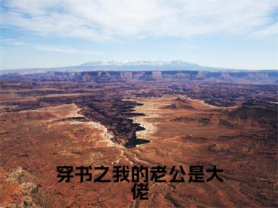 穿书之我的老公是大佬(喻灵微江礼安)全文完整版免费阅读_喻灵微江礼安(穿书之我的老公是大佬全文免费阅读)最新章节列表