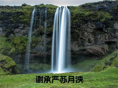 苏月泱谢承严免费(谢承严苏月泱)全文免费阅读无弹窗大结局_谢承严苏月泱免费最新章节列表_笔趣阁