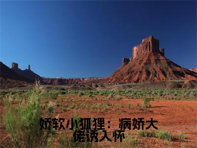 主人公叫(沈天冥师岁岁)的小说(娇软小狐狸:病娇大佬诱入怀)免费阅读最新章节列表_笔趣阁