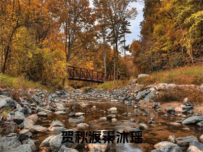 秦沐瑶贺秋渡免费阅读无弹窗大结局,贺秋渡秦沐瑶最新章节