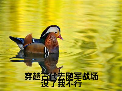穿越古代去随军战场没了我不行(黎青姝秦铮)全文免费阅读无弹窗大结局_穿越古代去随军战场没了我不行全文免费阅读最新章节列表_笔趣阁