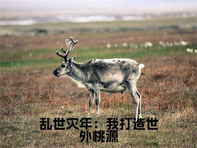 江言(乱世灾年:我打造世外桃源)全文免费阅读无弹窗大结局_江言小说全文大结局