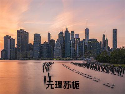 元瑾苏栀小说全文免费阅读无弹窗大结局_元瑾苏栀最新章节列表_笔趣阁
