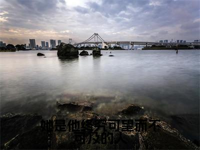 她是他终究可望而不可及的人(江渺渺时淮全章节完整版)免费阅读_她是他终究可望而不可及的人(江渺渺时淮)最新章节列表笔趣阁