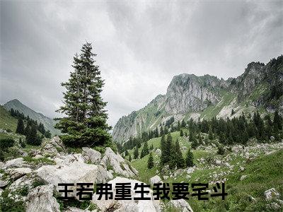 王若弗最新章节(王若弗重生我要宅斗)全文免费阅读无弹窗大结局_王若弗免费阅读(王若弗重生我要宅斗)