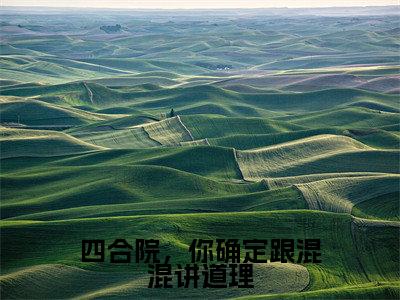 四合院,你确定跟混混讲道理(王宝宇)全文免费阅读_四合院,你确定跟混混讲道理(王宝宇)最新章节小说免费阅读