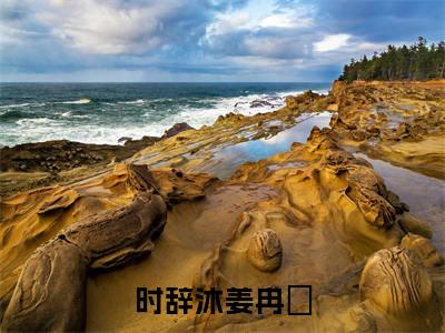姜冉晞时辞沐（时辞沐姜冉晞）全文免费阅读无弹窗大结局_(时辞沐姜冉晞小说免费阅读)_笔趣阁