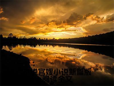  张元庆秦林宇（官嫂小说新篇版阅读）精选小说大结局阅读-抖音新书热荐 张元庆秦林宇