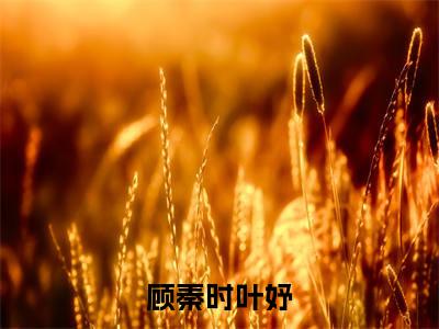 顾秦时叶妤小说全文免费阅读无弹窗大结局_（顾秦时叶妤免费阅读无弹窗）最新章节列表_笔趣阁